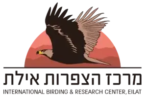 cropped-מרכז-הצפרות-אילת-שקוף-איכות-נמוכה-HR