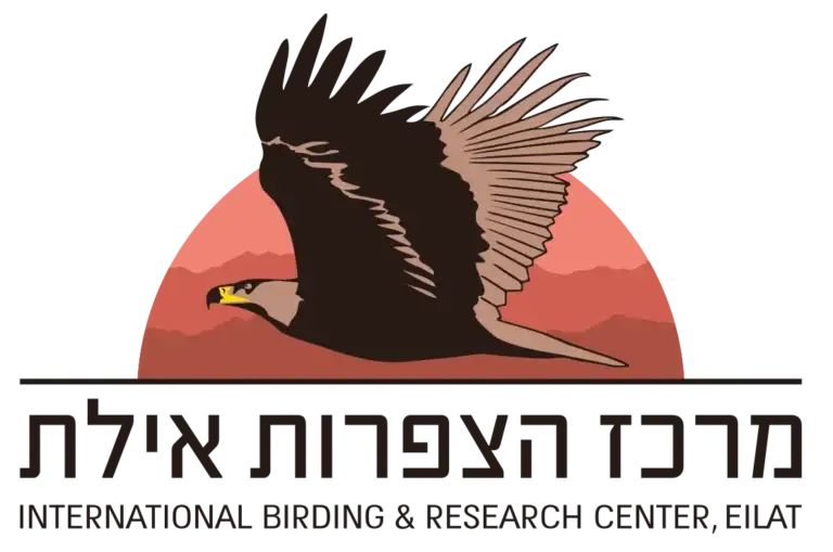 cropped-מרכז-הצפרות-אילת-שקוף-איכות-נמוכה-HR